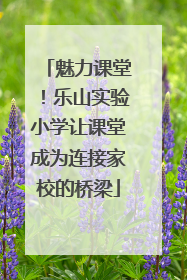 魅力课堂！乐山实验小学让课堂成为连接家校的桥梁