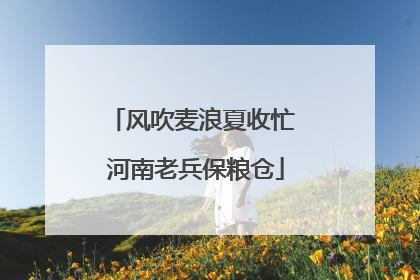 风吹麦浪夏收忙 河南老兵保粮仓