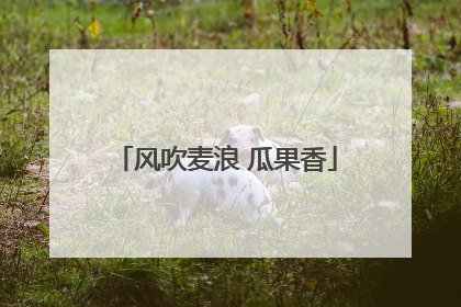 风吹麦浪 瓜果香