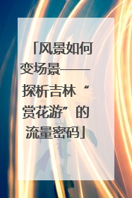 风景如何变场景——探析吉林“赏花游”的流量密码