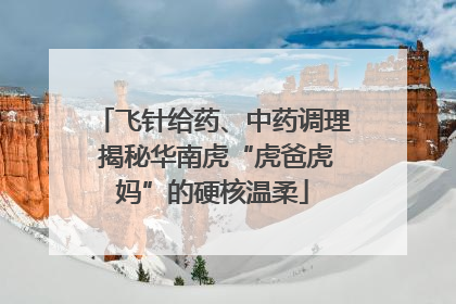 飞针给药、中药调理 揭秘华南虎“虎爸虎妈”的硬核温柔