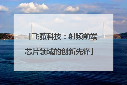 飞骧科技：射频前端芯片领域的创新先锋