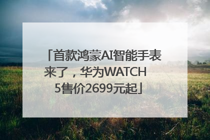首款鸿蒙AI智能手表来了，华为WATCH 5售价2699元起