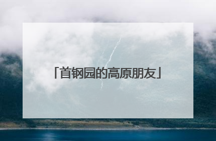 首钢园的高原朋友