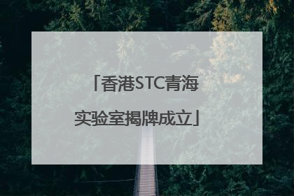 香港STC青海实验室揭牌成立