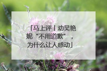 马上评丨劝吴艳妮“不用道歉”，为什么让人感动