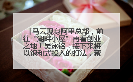 马云现身阿里总部，前往“湖畔小屋”再看创业之地！吴泳铭：接下来将以饱和式投入的打法，聚焦于几大核心战役