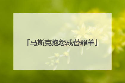 马斯克抱怨成替罪羊