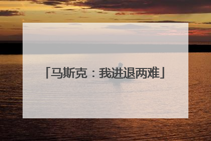 马斯克：我进退两难