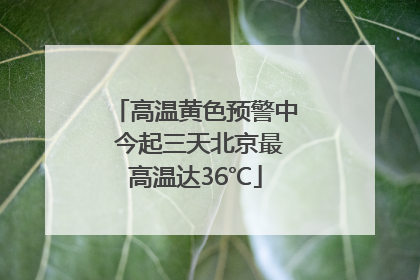 高温黄色预警中 今起三天北京最高温达36℃