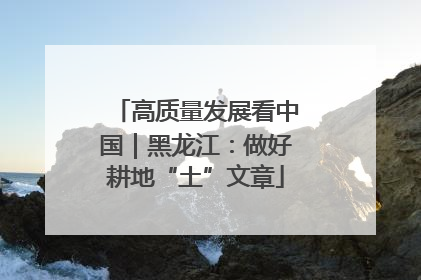 高质量发展看中国｜黑龙江：做好耕地“土”文章