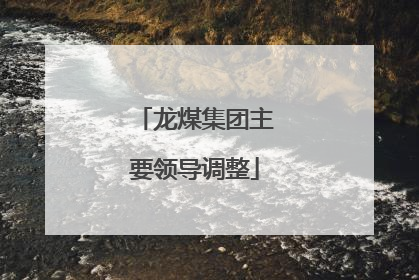 龙煤集团主要领导调整