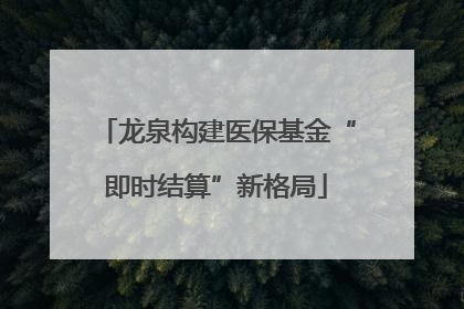 龙泉构建医保基金“即时结算”新格局