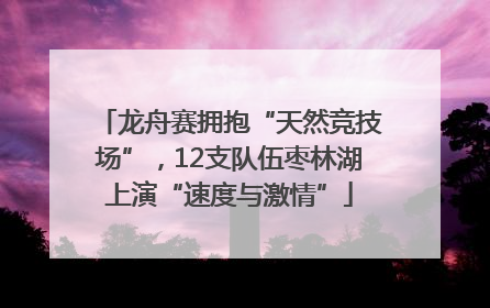 龙舟赛拥抱“天然竞技场”，12支队伍枣林湖上演“速度与激情”