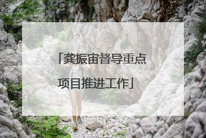 龚振宙督导重点项目推进工作