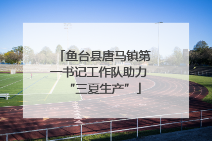 鱼台县唐马镇第一书记工作队助力“三夏生产”