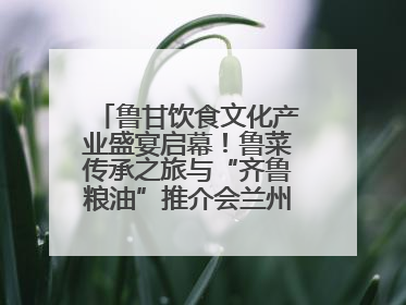 鲁甘饮食文化产业盛宴启幕！鲁菜传承之旅与“齐鲁粮油”推介会兰州共襄盛举