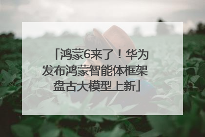 鸿蒙6来了！华为发布鸿蒙智能体框架 盘古大模型上新