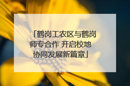 鹤岗工农区与鹤岗师专合作 开启校地协同发展新篇章