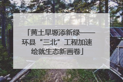 黄土旱塬添新绿——环县“三北”工程加速绘就生态新画卷