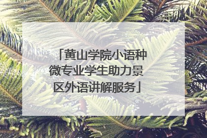 黄山学院小语种微专业学生助力景区外语讲解服务
