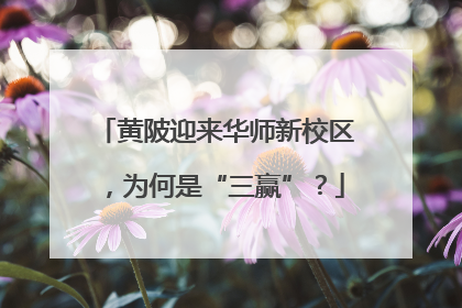 黄陂迎来华师新校区，为何是“三赢”？