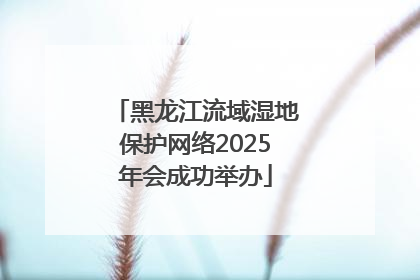 黑龙江流域湿地保护网络2025年会成功举办