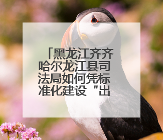 黑龙江齐齐哈尔龙江县司法局如何凭标准化建设“出圈”？答案在这！