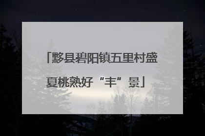 黟县碧阳镇五里村盛夏桃熟好“丰”景
