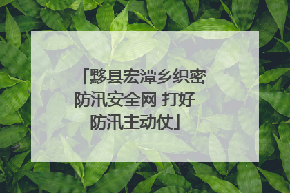 黟县宏潭乡织密防汛安全网 打好防汛主动仗
