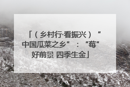 （乡村行·看振兴）“中国瓜菜之乡”：“莓”好前景 四季生金