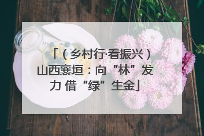 （乡村行·看振兴）山西襄垣：向“林”发力 借“绿”生金