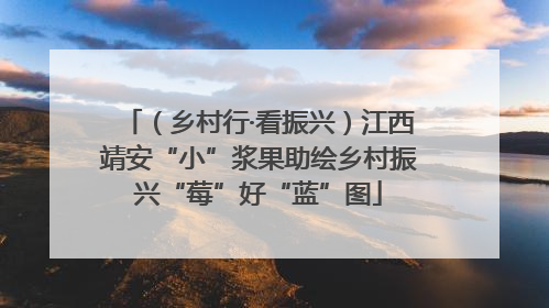 （乡村行·看振兴）江西靖安“小”浆果助绘乡村振兴“莓”好“蓝”图