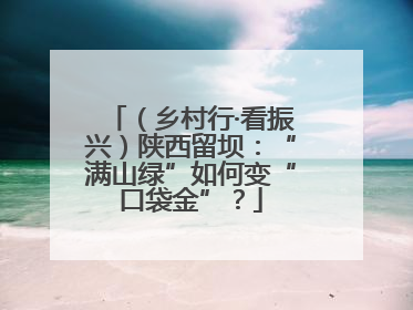 （乡村行·看振兴）陕西留坝：“满山绿”如何变“口袋金”？