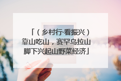 （乡村行·看振兴）靠山吃山，赛罕乌拉山脚下兴起山野菜经济