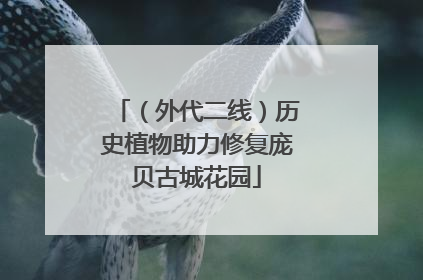 （外代二线）历史植物助力修复庞贝古城花园