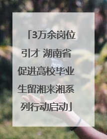 3万余岗位引才 湖南省促进高校毕业生留湘来湘系列行动启动