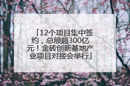 12个项目集中签约，总额超300亿元！金砖创新基地产业项目对接会举行