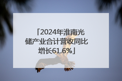 2024年淮南光储产业合计营收同比增长61.6%