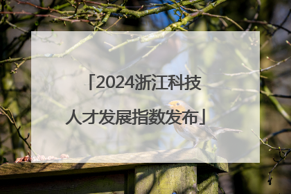 2024浙江科技人才发展指数发布
