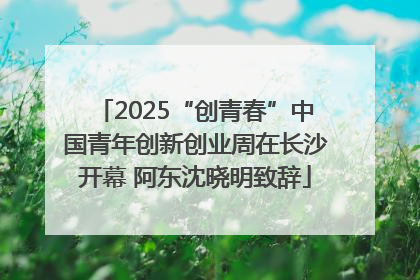 2025“创青春”中国青年创新创业周在长沙开幕 阿东沈晓明致辞