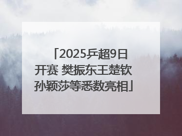 2025乒超9日开赛 樊振东王楚钦孙颖莎等悉数亮相