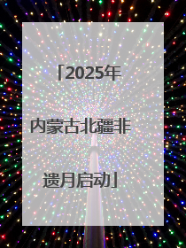 2025年内蒙古北疆非遗月启动