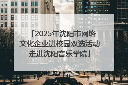 2025年沈阳市网络文化企业进校园双选活动走进沈阳音乐学院