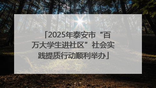 2025年泰安市“百万大学生进社区”社会实践提质行动顺利举办