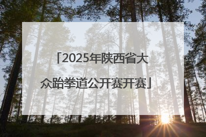 2025年陕西省大众跆拳道公开赛开赛