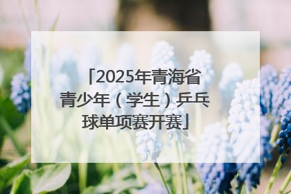2025年青海省青少年（学生）乒乓球单项赛开赛