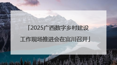 2025广西数字乡村建设工作现场推进会在富川召开