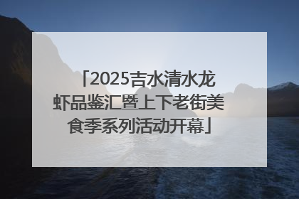 2025吉水清水龙虾品鉴汇暨上下老街美食季系列活动开幕