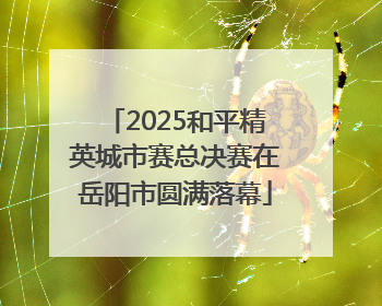 2025和平精英城市赛总决赛在岳阳市圆满落幕